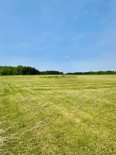 Photo for 11777 State Highway 11 SE, Baudette, MN 56623 - Listing #6726148 11777 State Highway 11 SE, Baudette, MN 56623