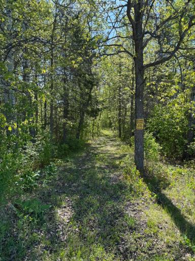 Photo for 11777 State Highway 11 SE, Baudette, MN 56623 - Listing #6726148 11777 State Highway 11 SE, Baudette, MN 56623
