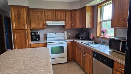 15639 390th Street, Bagley, MN 56621