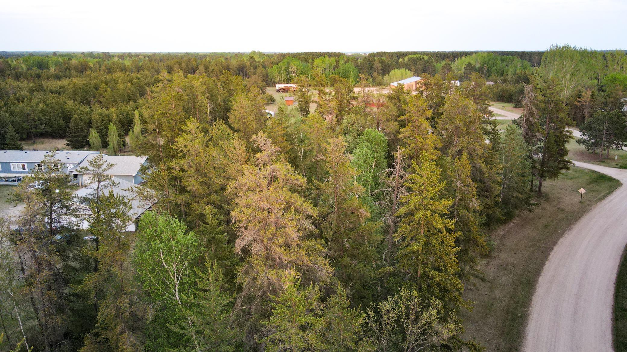 dji_fly_20250514_204716_135_1747273759793_photo.JPG