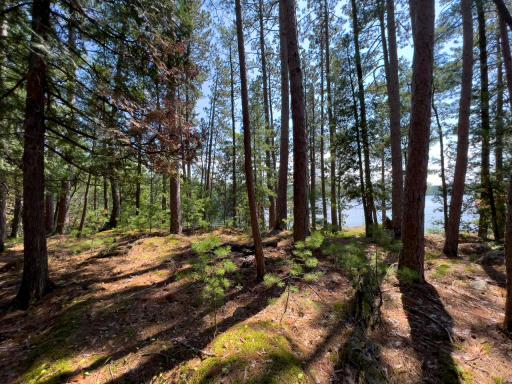 X Waters Island, Ely, MN 55731