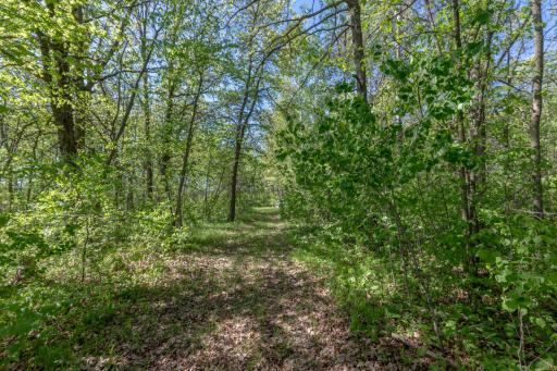 31855 Huntersville Road, Sebeka, MN 56477