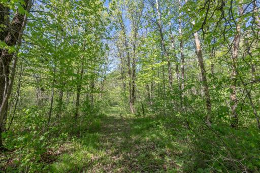 31855 Huntersville Road, Sebeka, MN 56477