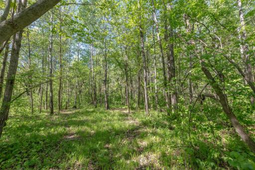 31855 Huntersville Road, Sebeka, MN 56477