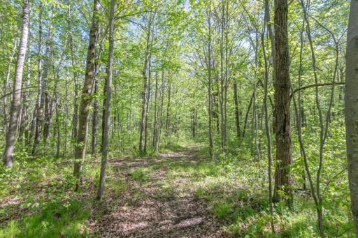 31855 Huntersville Road, Sebeka, MN 56477