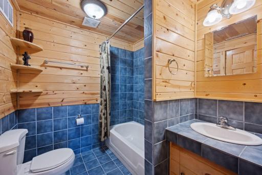 Lower level full bath. Storage room in bathroom too. Can't see from this view.