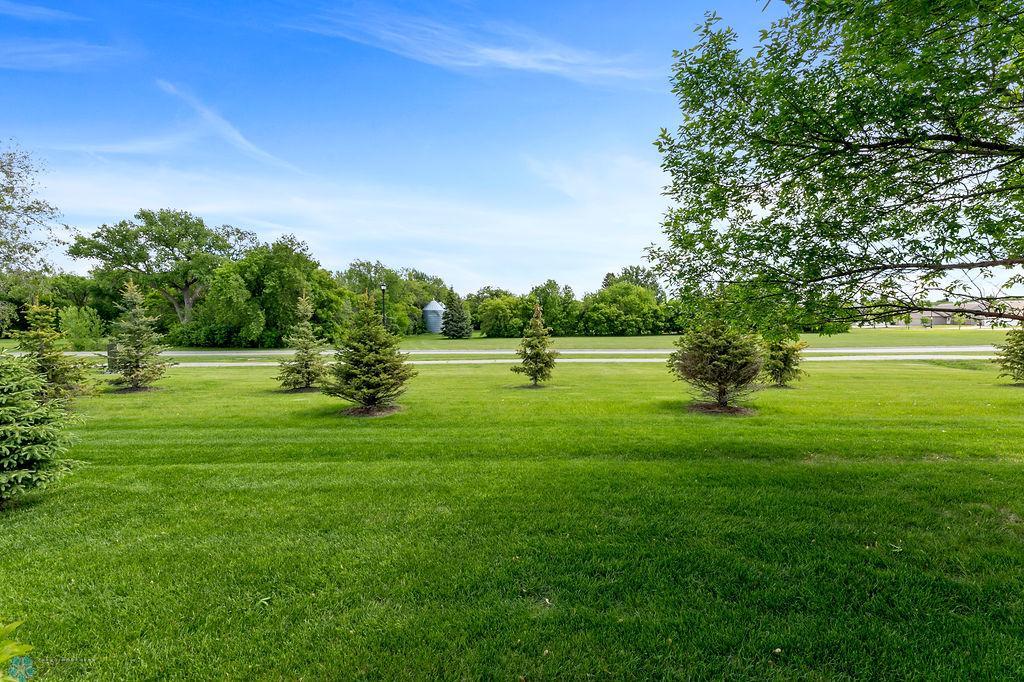 Backyard leads to Elmwood park walkway & green space