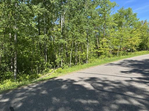 TBD Lot# 16 Par Five Drive, Onamia, MN 56359