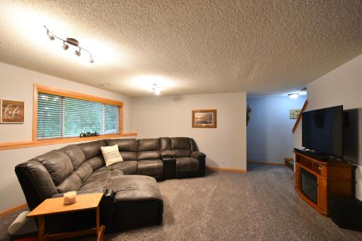 201 N Ridge Drive, Kenyon, MN 55946