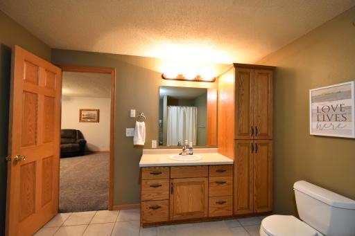 3rd bathroom vanity & linen cabinet-basement