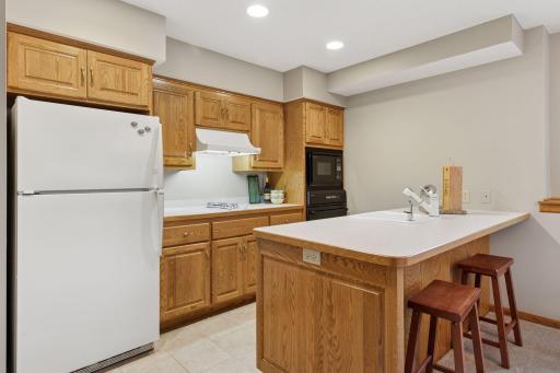 18172 Tamarack Drive, Minnetonka, MN 55345