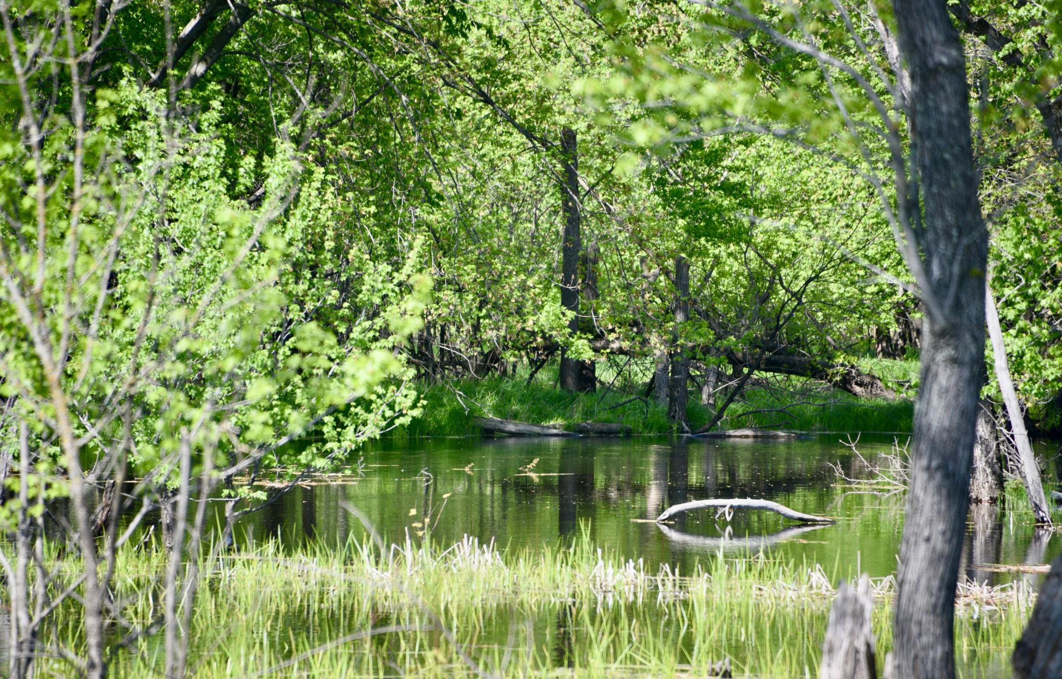 DSC_0269.JPG