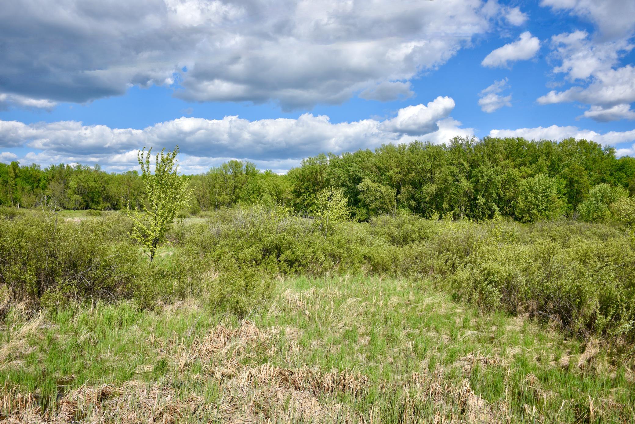 DSC_0246.JPG