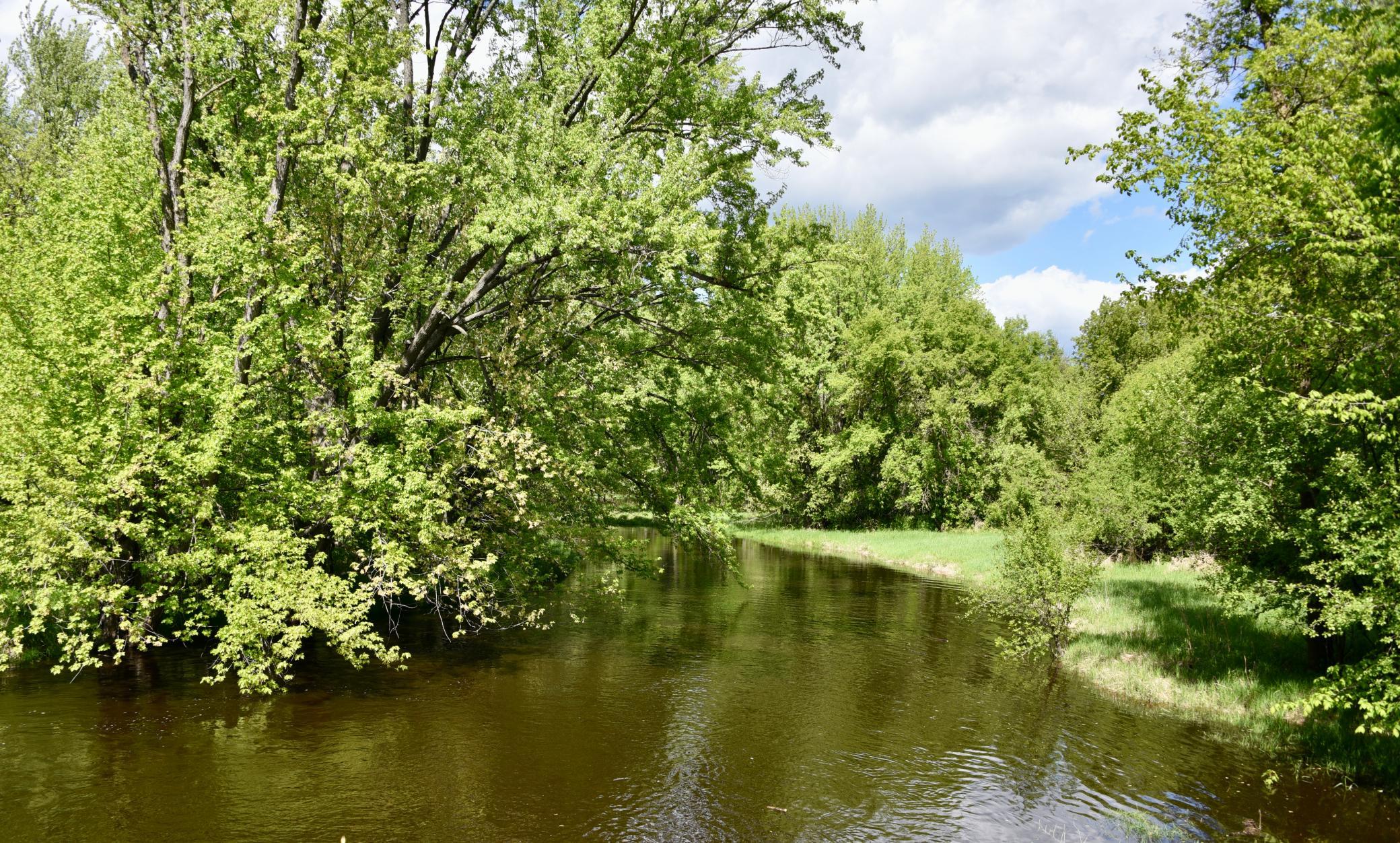 DSC_0245.JPG
