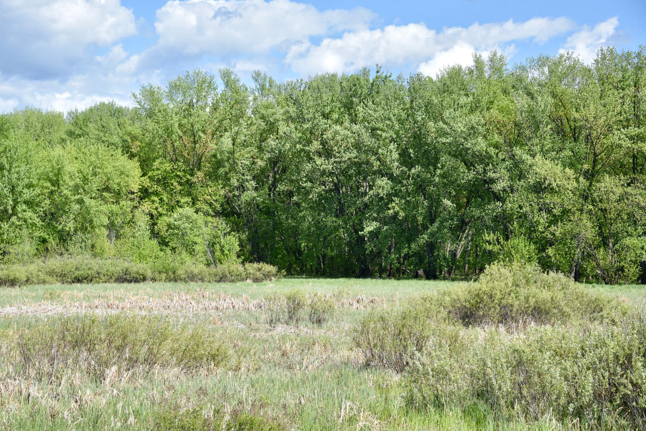 DSC_0256.JPG