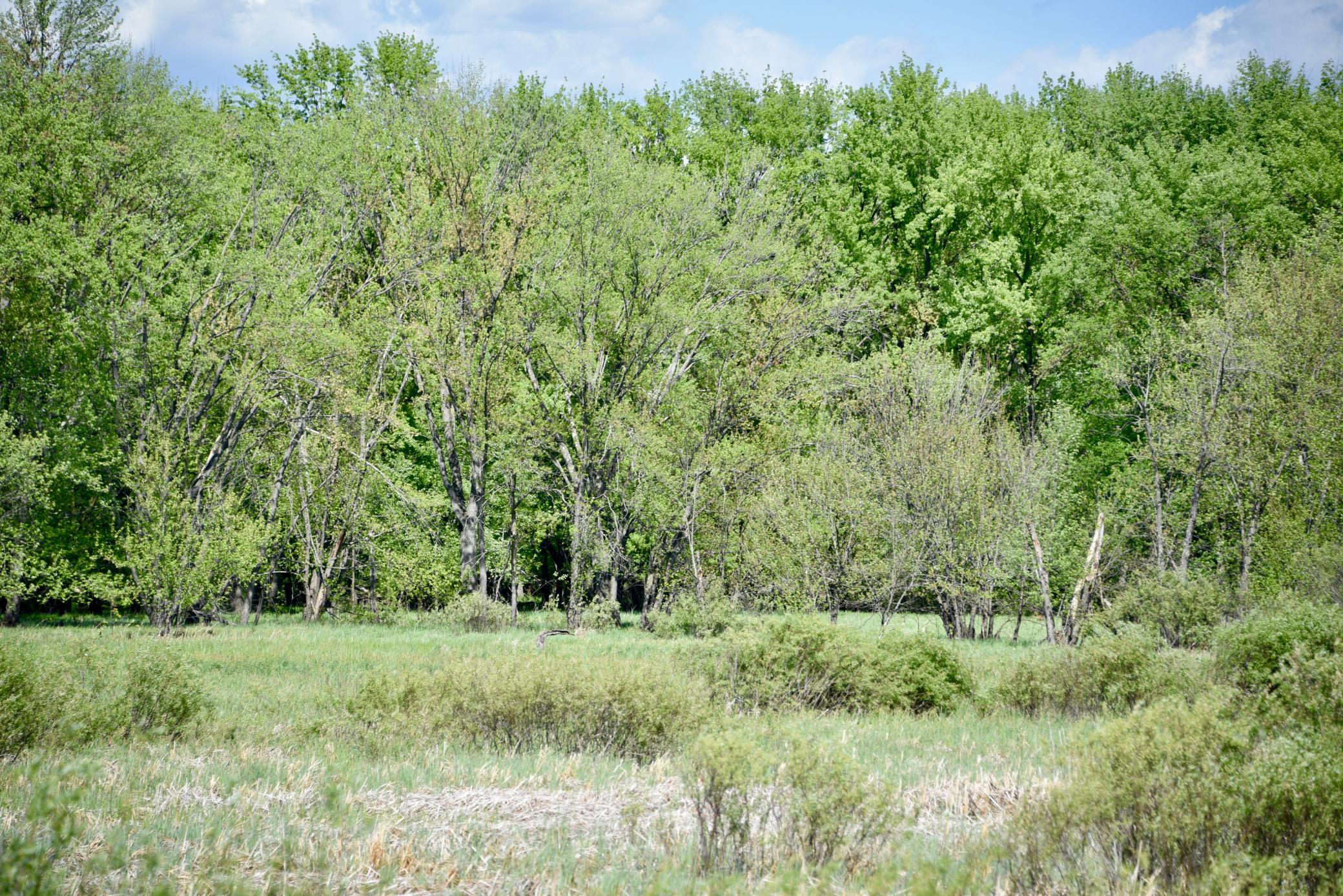DSC_0249.JPG