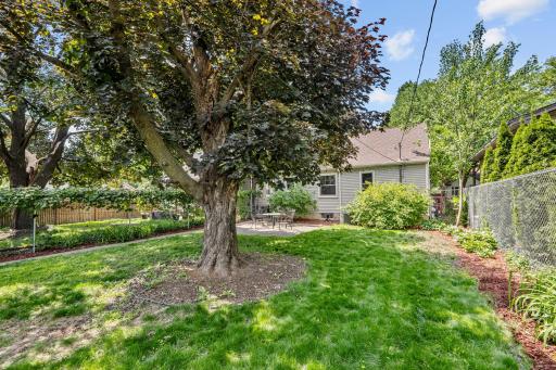 5349 40th Avenue S, Minneapolis, MN 55417