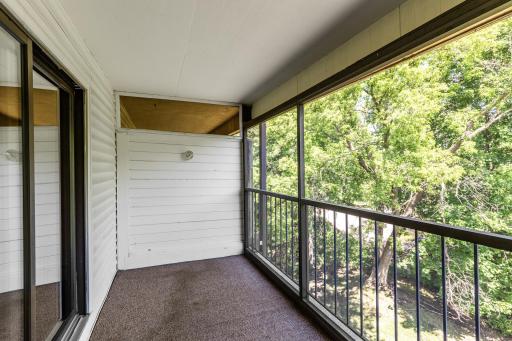 Wooded Porch Views