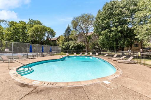 Outdoor Pool and Loungers