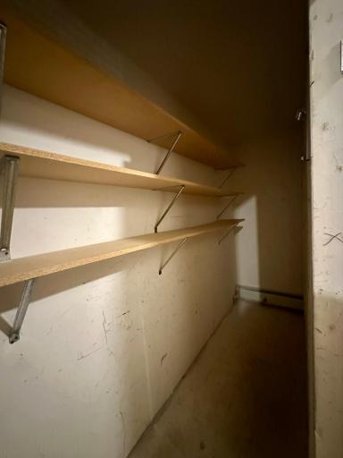Convenient shelving