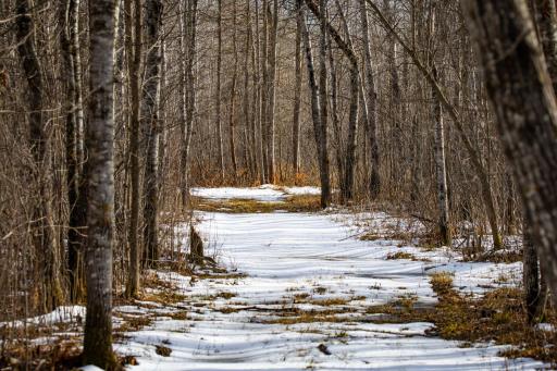 TBD Cormant Road NE, Kelliher, MN 56650