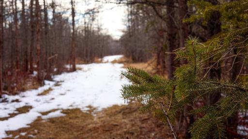 TBD Cormant Road NE, Kelliher, MN 56650