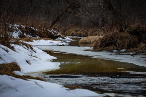 TBD Cormant Road NE, Kelliher, MN 56650