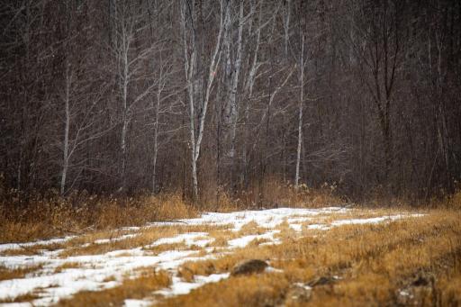 TBD Cormant Road NE, Kelliher, MN 56650