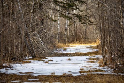 TBD Cormant Road NE, Kelliher, MN 56650
