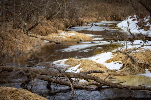 TBD Cormant Road NE, Kelliher, MN 56650