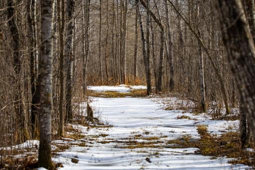 TBD Cormant Road NE, Kelliher, MN 56650