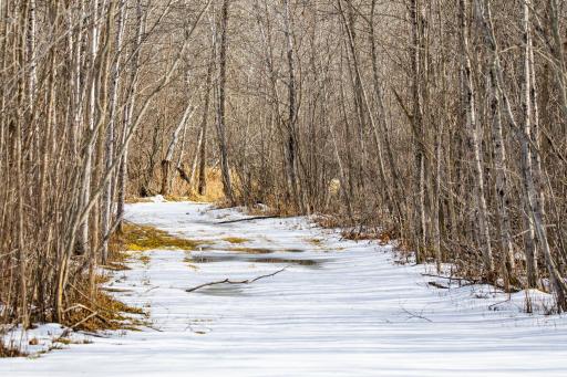 TBD Cormant Road NE, Kelliher, MN 56650