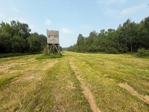 TBD Cormant Road NE, Kelliher, MN 56650
