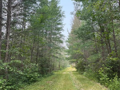 TBD Cormant Road NE, Kelliher, MN 56650