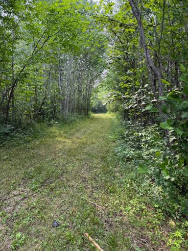 TBD Cormant Road NE, Kelliher, MN 56650