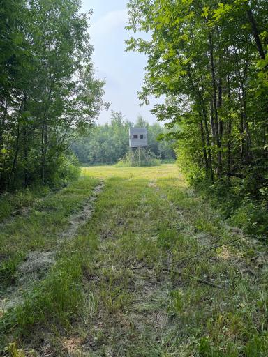 TBD Cormant Road NE, Kelliher, MN 56650