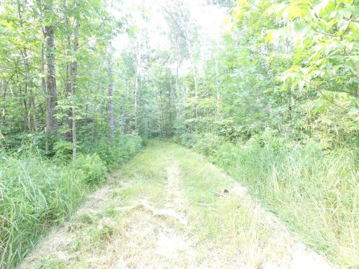 TBD Cormant Road NE, Kelliher, MN 56650