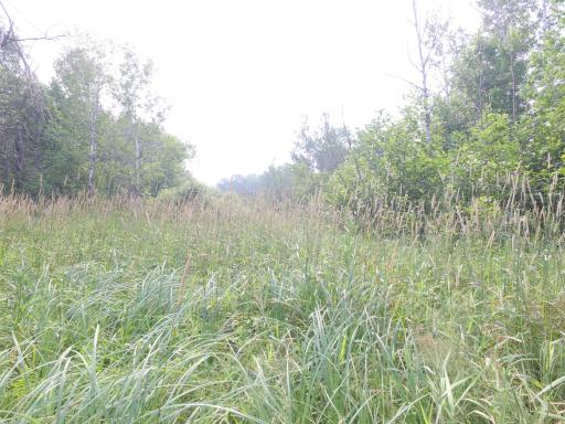 TBD Cormant Road NE, Kelliher, MN 56650