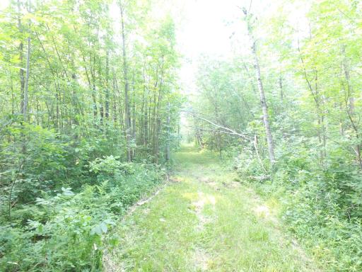 TBD Cormant Road NE, Kelliher, MN 56650
