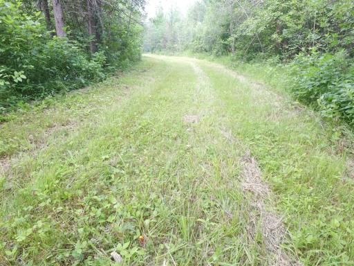 TBD Cormant Road NE, Kelliher, MN 56650