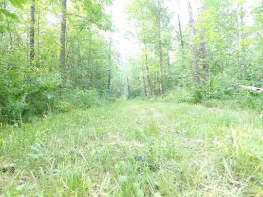 TBD Cormant Road NE, Kelliher, MN 56650