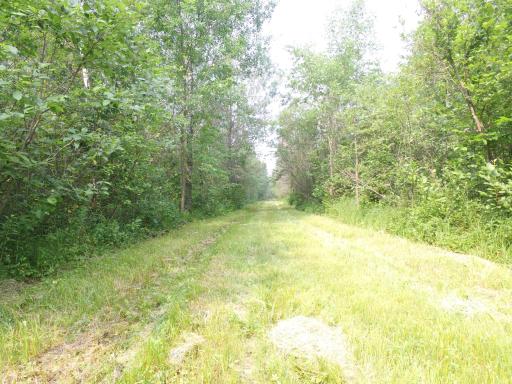 TBD Cormant Road NE, Kelliher, MN 56650