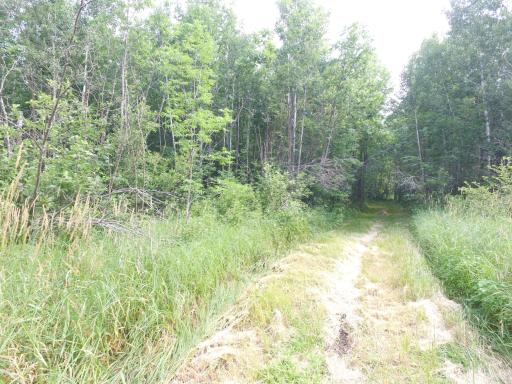 TBD Cormant Road NE, Kelliher, MN 56650