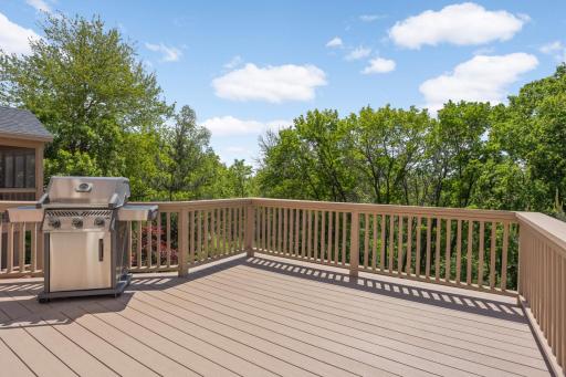 Relax with views of the Minnesota River Valley while you grill