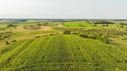 TBD 380th Street, Browerville, MN 56438