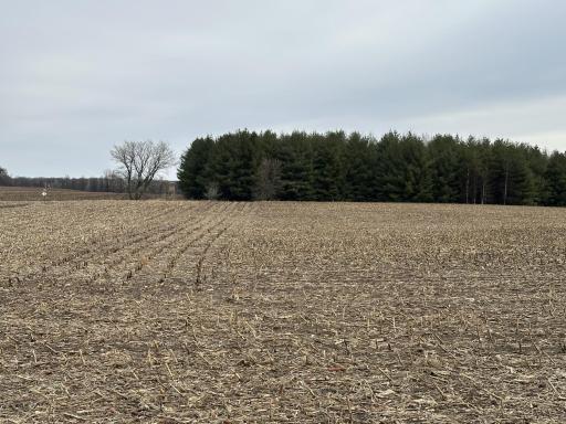 TBD 60th Ave, Princeton, MN 55371