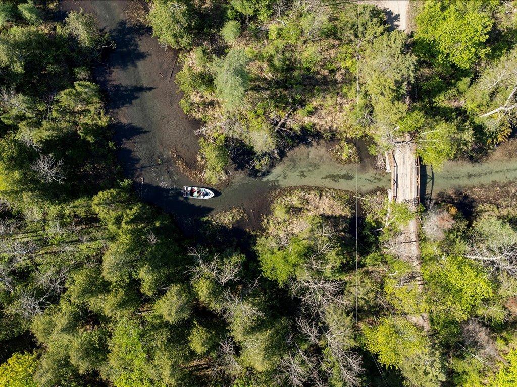 Wakeman Bay Wabana Lake (3).jpg
