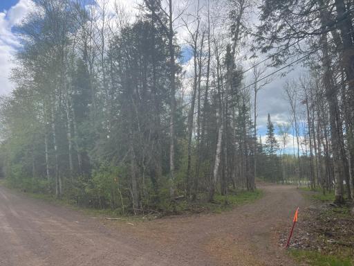 TBD E Briar Lake Drive, Duluth, MN 55803