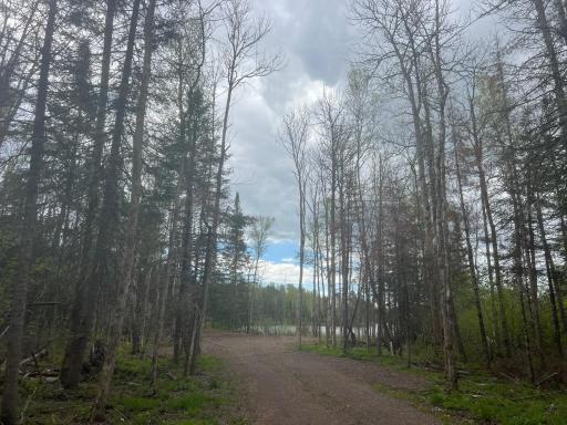 TBD E Briar Lake Drive, Duluth, MN 55803