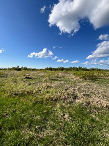 Photo for TBD 39th Street SE, Baudette, MN 56623 - Listing #6727392 TBD 39th Street SE, Baudette, MN 56623